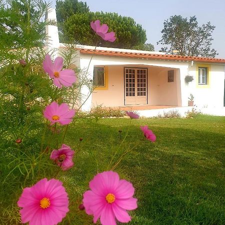Sondela Self Catering Villa São Martinho do Porto Exteriör bild