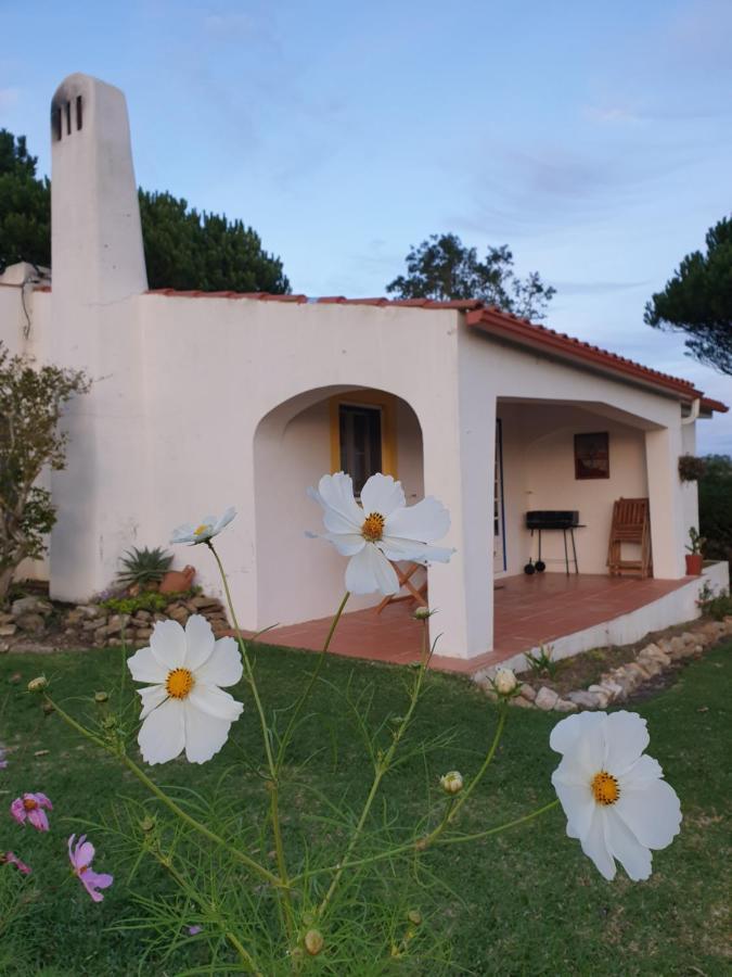 Sondela Self Catering Villa São Martinho do Porto Exteriör bild