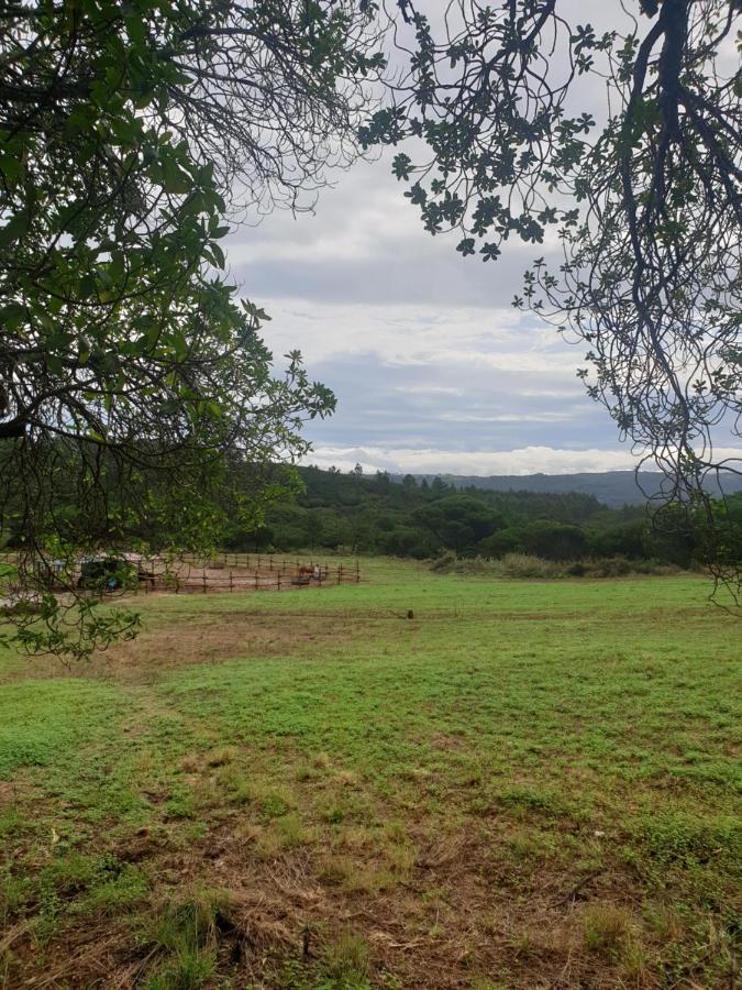Sondela Self Catering Villa São Martinho do Porto Exteriör bild
