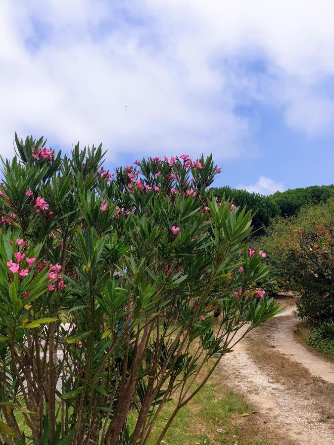 Sondela Self Catering Villa São Martinho do Porto Exteriör bild
