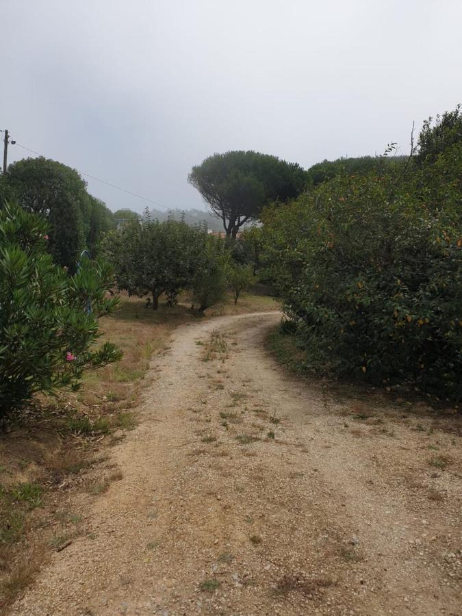 Sondela Self Catering Villa São Martinho do Porto Exteriör bild